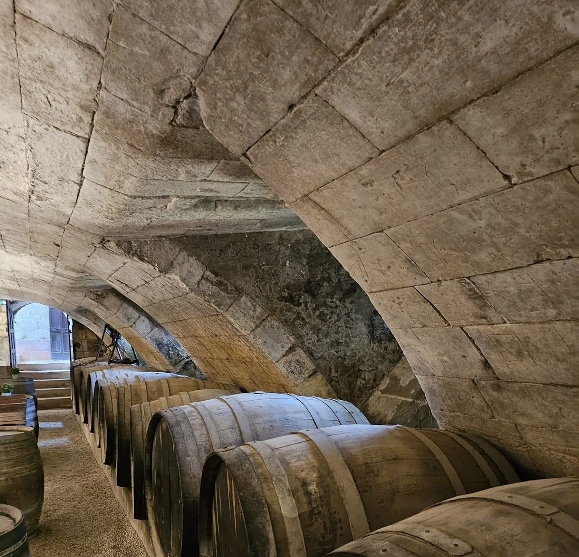 Loire Valley Wine and Castles Small-Group Day Trip from Paris